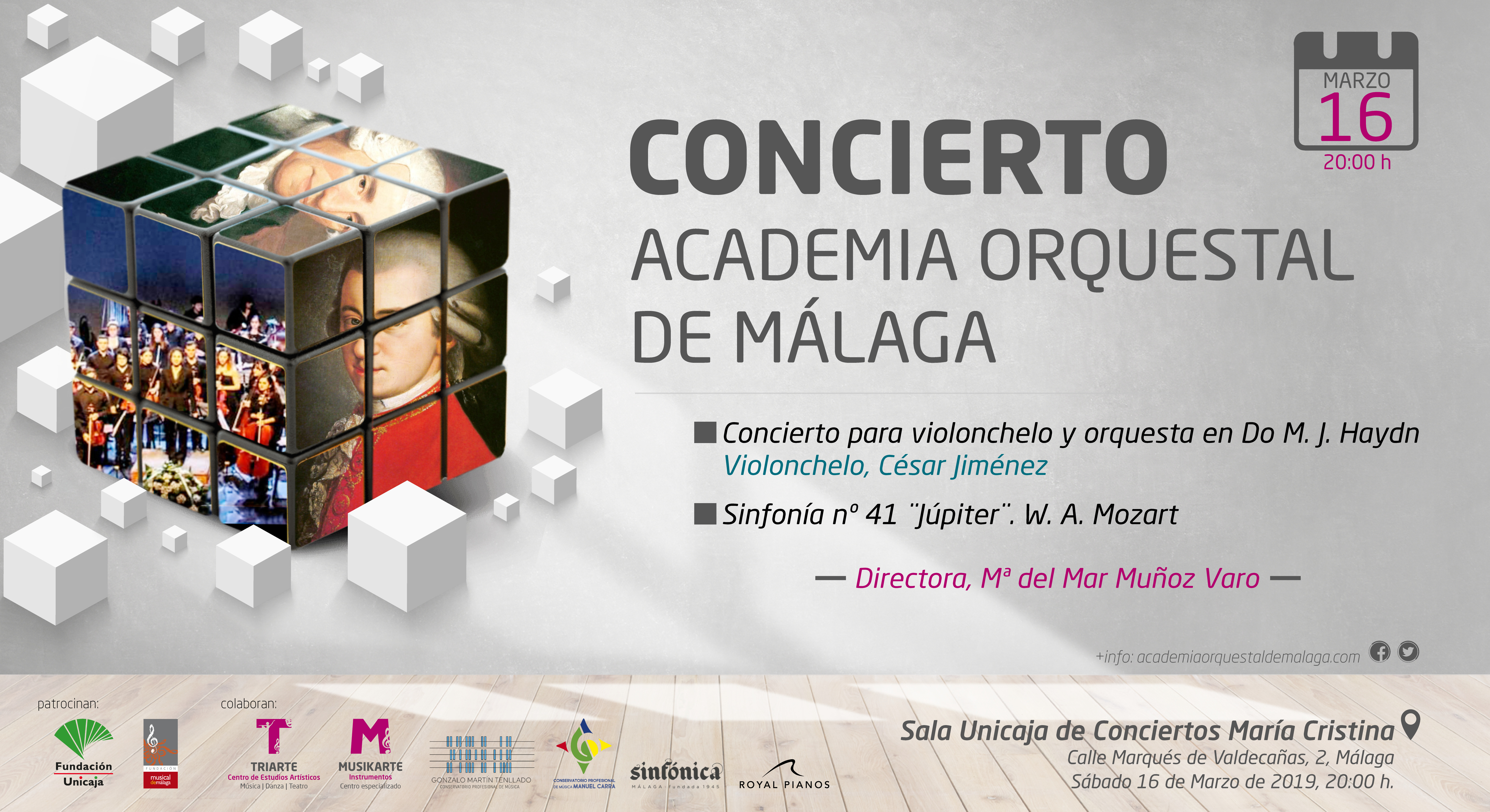 Concierto Academia Orquestal de Málaga. Marzo 2019. Sala Unicaja de Conciertos María Cristina.